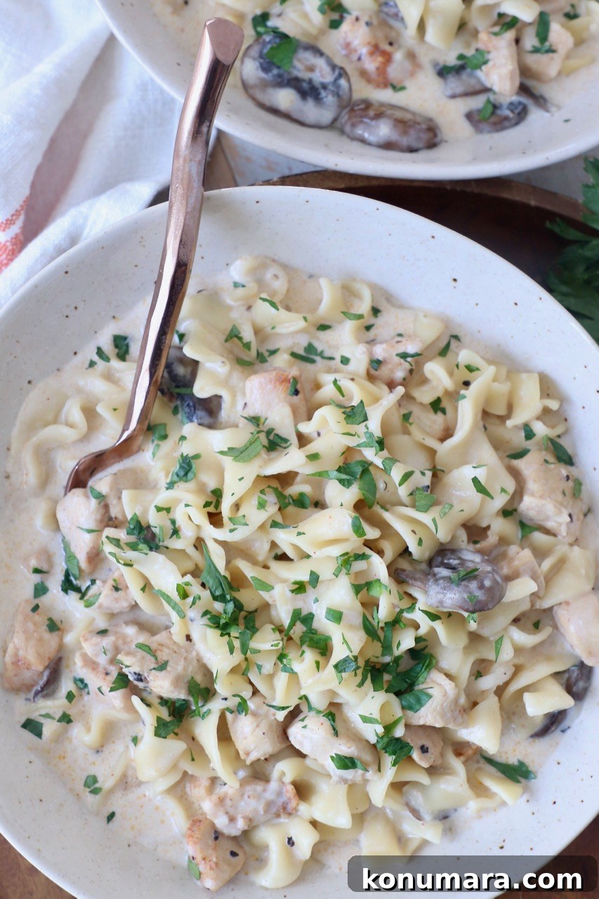 Creamy Instant Pot Chicken Stroganoff Recipe 2 chicken stroganoff in bowl with fork