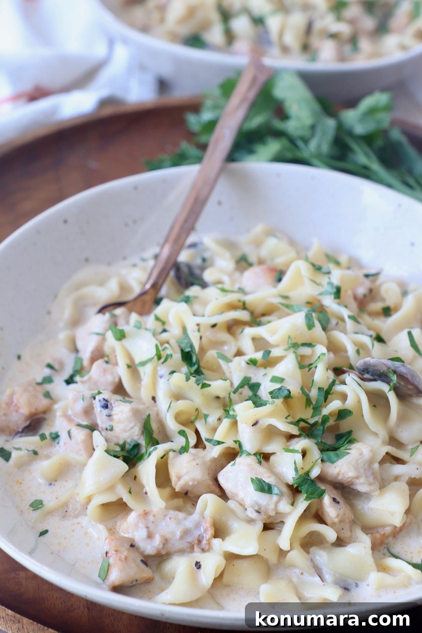 Creamy Instant Pot Chicken Stroganoff Recipe 11 chicken stroganoff in bowl with fork