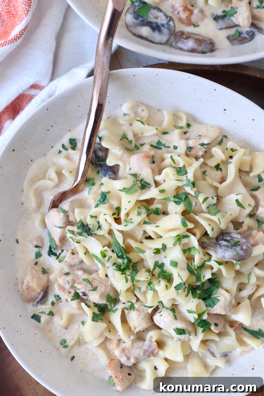 Creamy Instant Pot Chicken Stroganoff Recipe 12 chicken stroganoff in bowl with fork