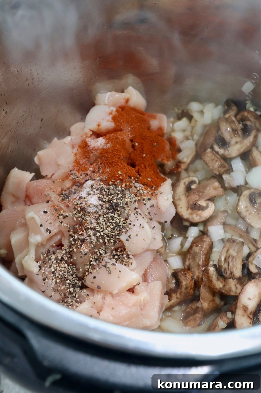 Creamy Instant Pot Chicken Stroganoff Recipe 5 diced chicken with spices and vegetables in Instant Pot