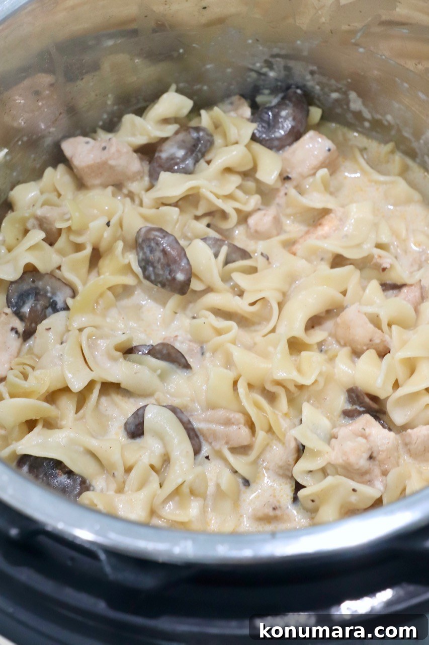 Creamy Instant Pot Chicken Stroganoff Recipe 9 cooked chicken stroganoff in Instant Pot