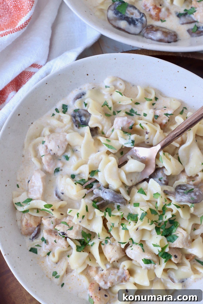 Creamy Instant Pot Chicken Stroganoff Recipe 10 chicken stroganoff in bowl with fork