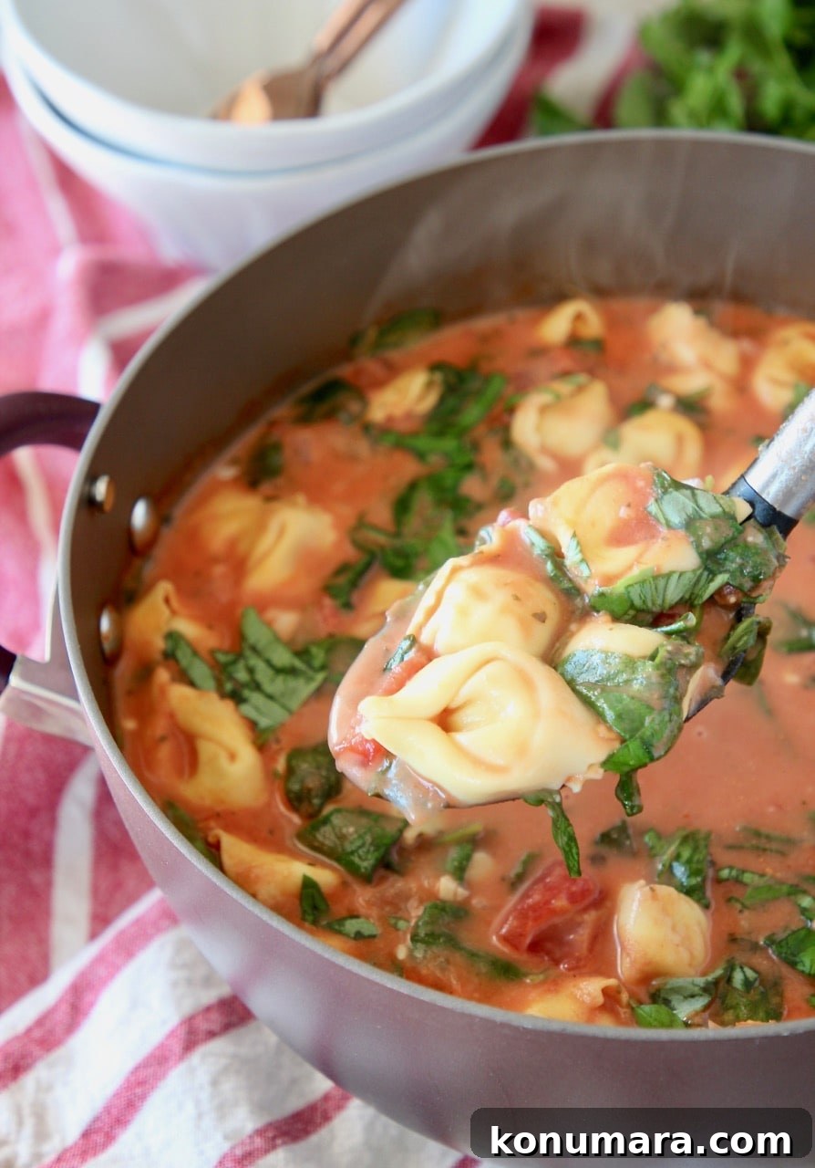 Tortellini soup in pot with spoonful of soup coming out of the pot