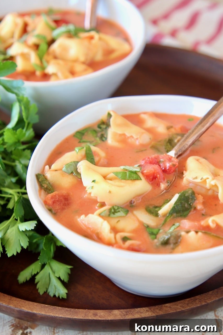 Tomato basil tortellini soup in bowl with copper spoon and fresh parsley on the side