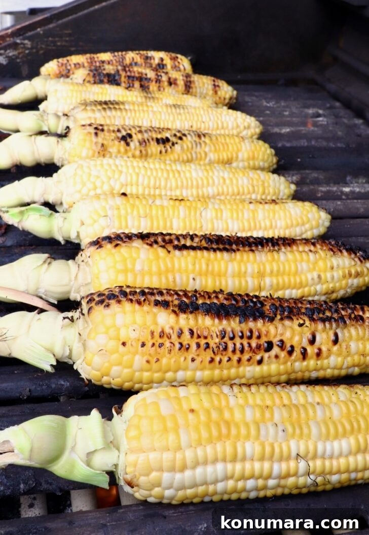 Grilled corn on the cob lined up on a barbecue, with kernels charred to a golden brown