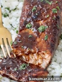 Salmon Marinade