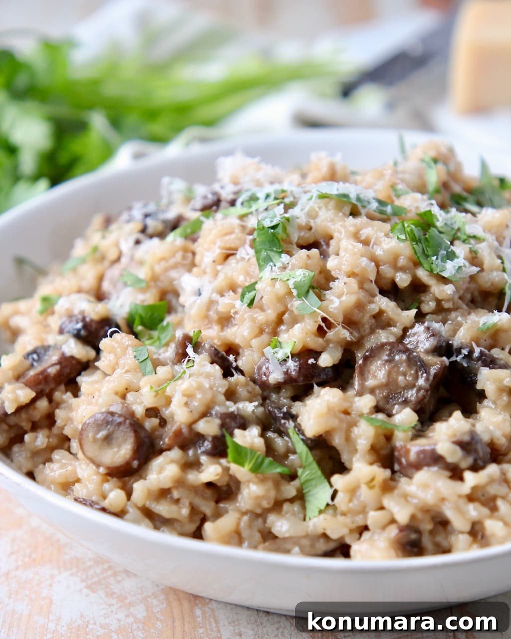 19 New Recipes from 2019 Worth Revisiting 17 Instant pot mushroom risotto in bowl with fresh parsley and parmesan cheese