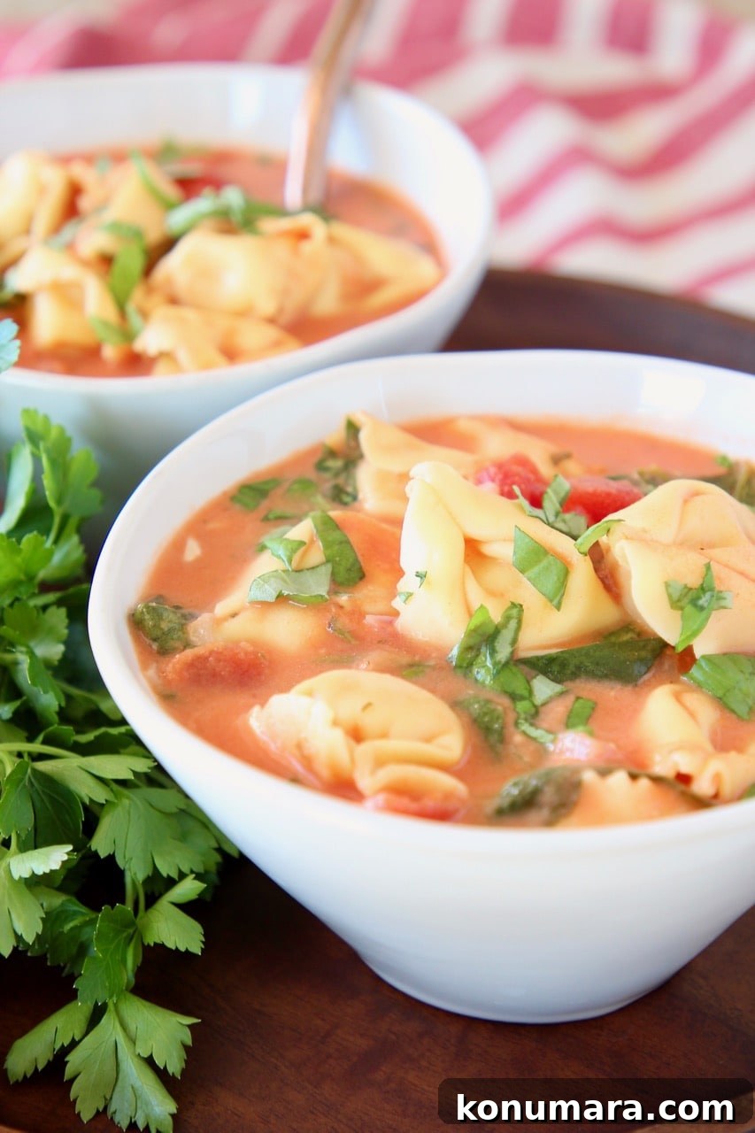 19 New Recipes from 2019 Worth Revisiting 18 Creamy tomato tortellini soup in white bowl with fresh parsley and diced tomatoes