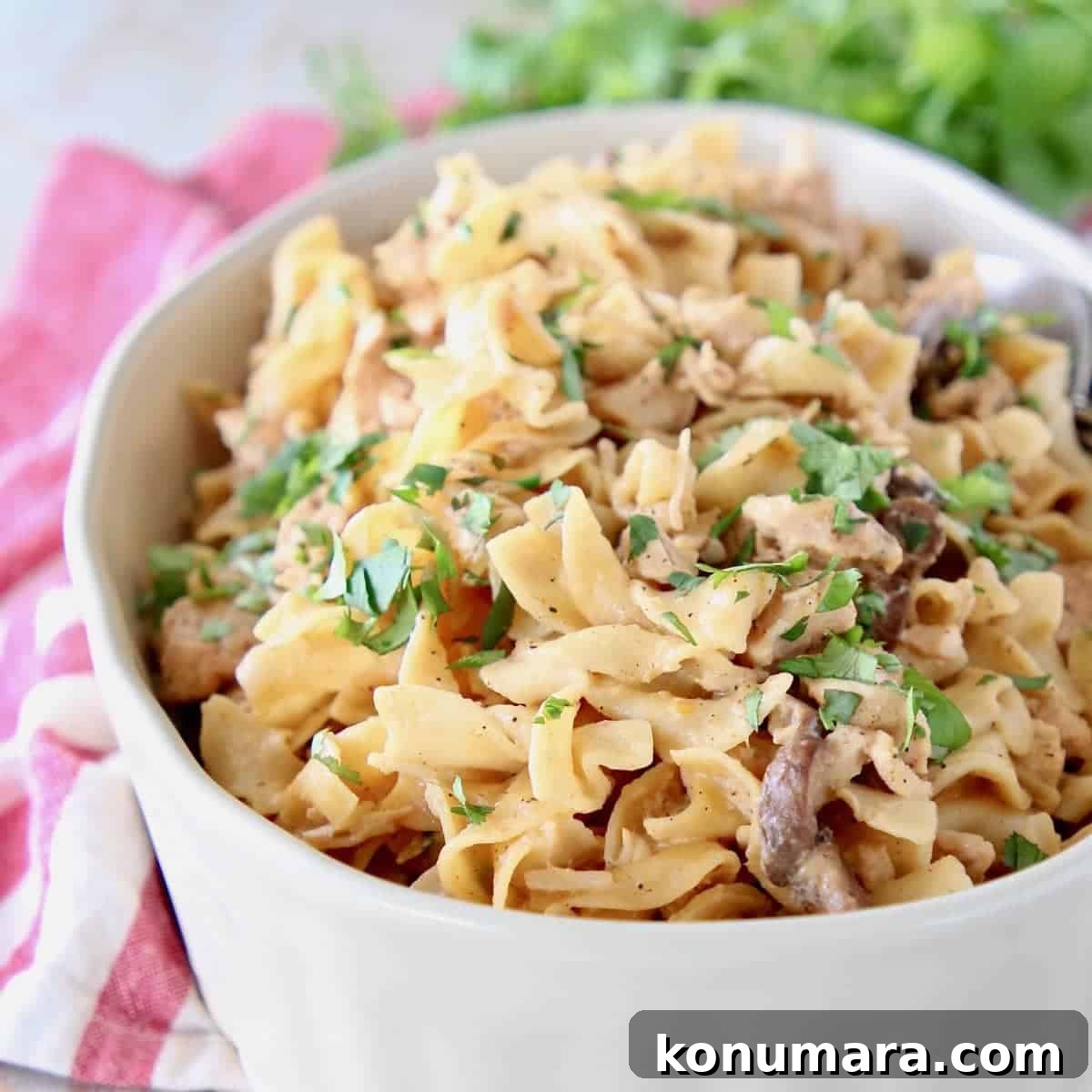 19 New Recipes from 2019 Worth Revisiting 5 Chicken stroganoff with egg noodles in oval casserole dish with fresh parsley