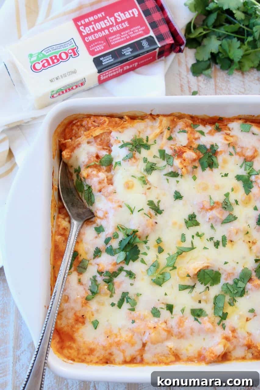 Casserole covered in cheese and chopped cilantro