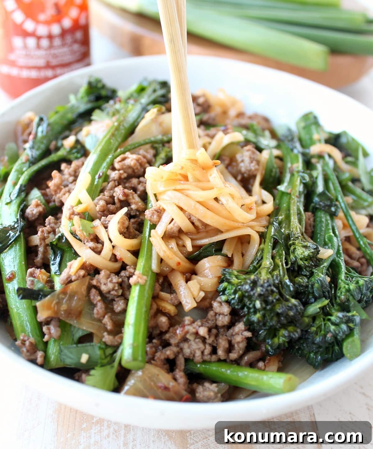 15 Pantry Staple Recipes with Shopping List 10 Beef and Broccoli Stir Fry Recipe