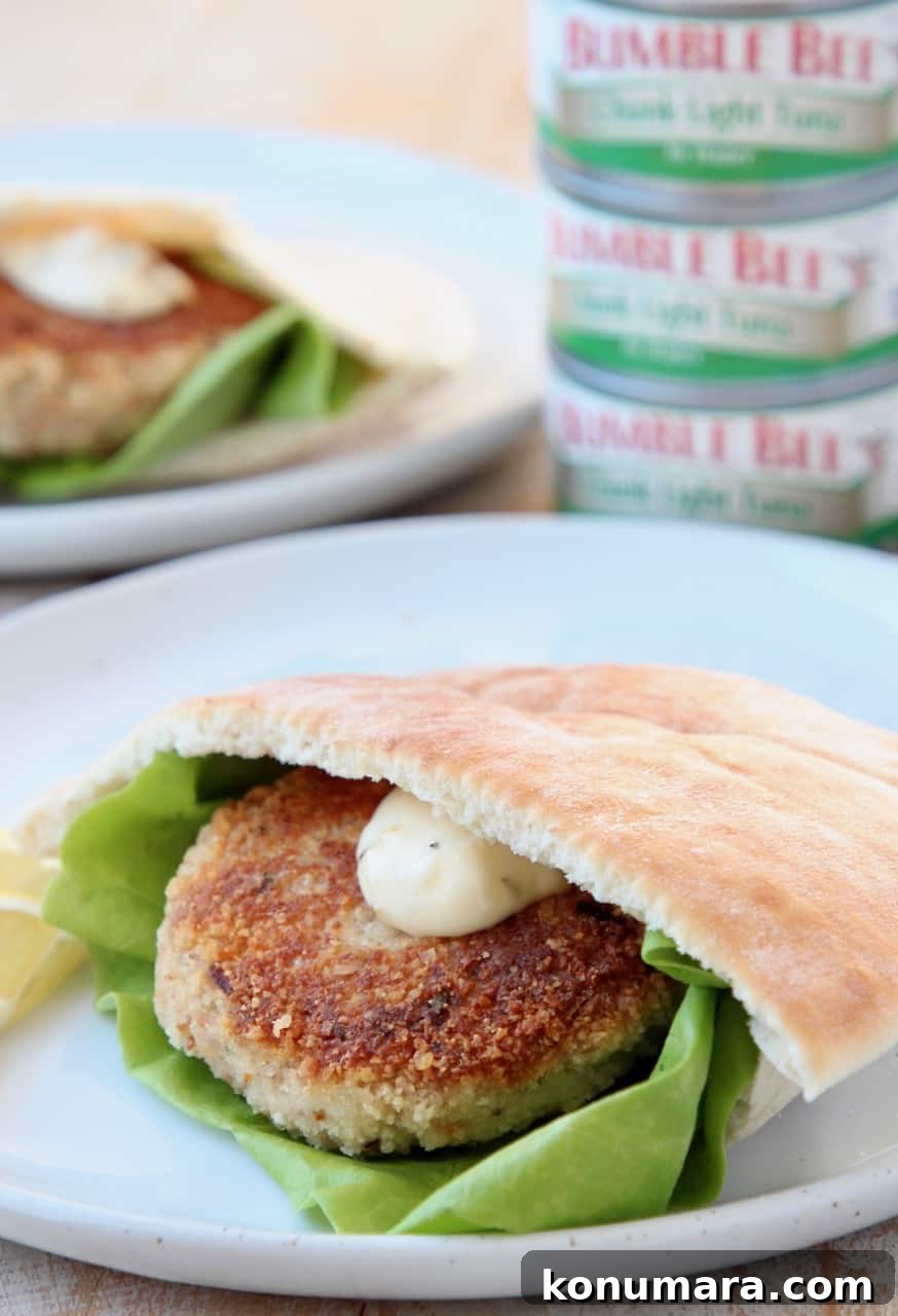 Tuna patties, wrapped in pita bread on plate