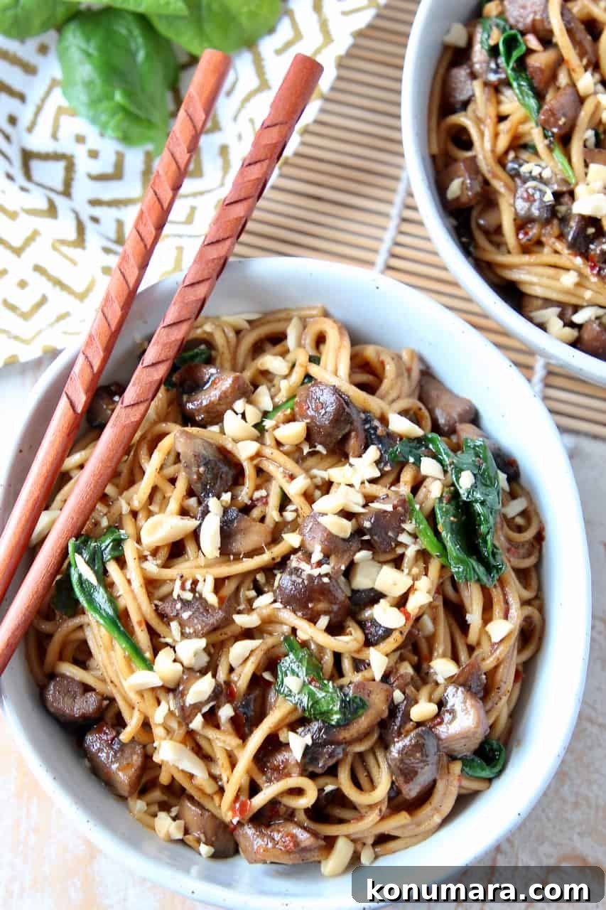 Vegetarian Dan Dan Noodles with Spicy Sichuan Peanut Sauce 4 Overhead image of noodle dish in bowl with chopsticks on the side