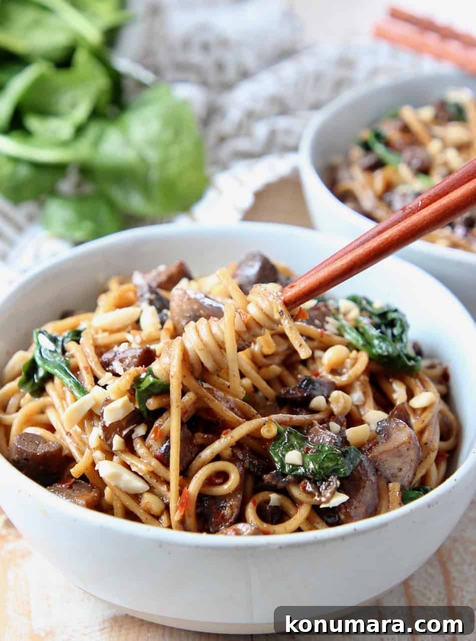 Vegetarian Dan Dan Noodles with Spicy Sichuan Peanut Sauce 5 Chopsticks spinning noodles in bowl