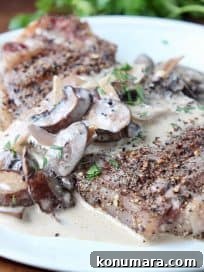 Strip steak on plate, topped with creamy mushroom sauce