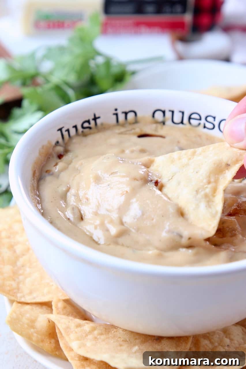 Creamy French Onion Queso Dip Recipe 4 Hand dipping tortilla chip in queso dip