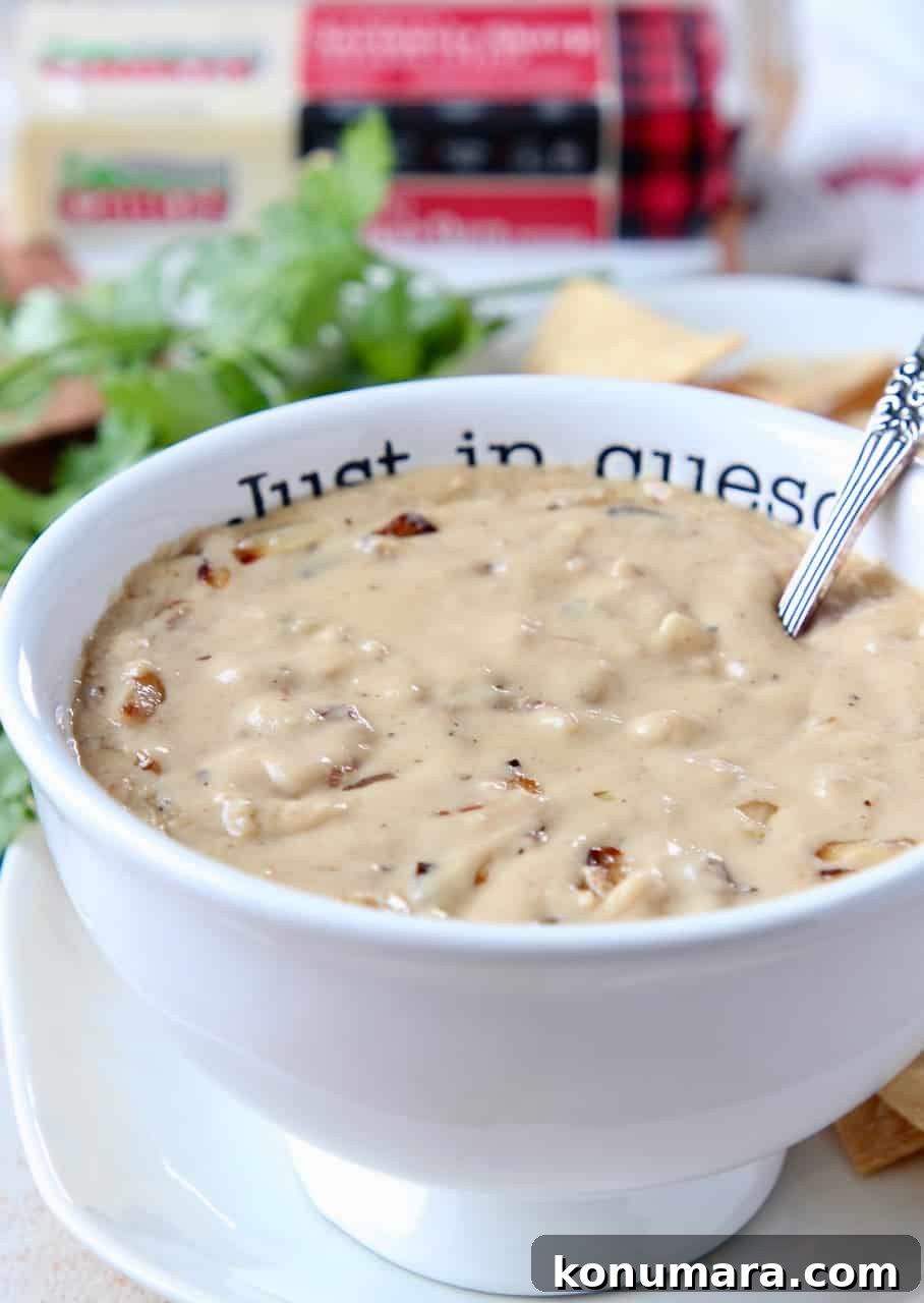 Creamy French Onion Queso Dip Recipe 5 Queso dip in bowl with spoon