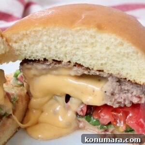 cheese stuffed burger on plate