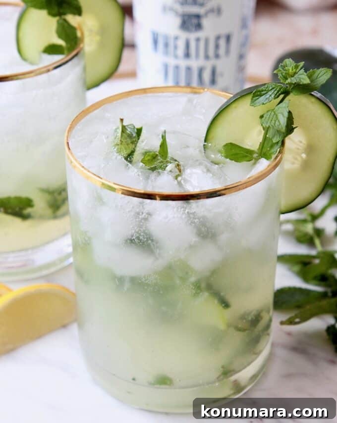 Cocktail in glass with mint spring and slice of cucumber