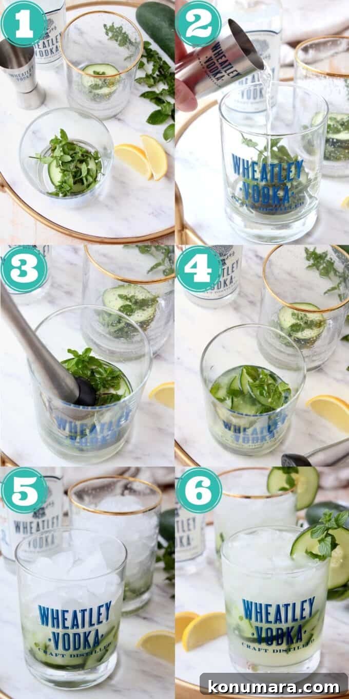 Step by step instructional images showing how to make a cucumber mint vodka cocktail