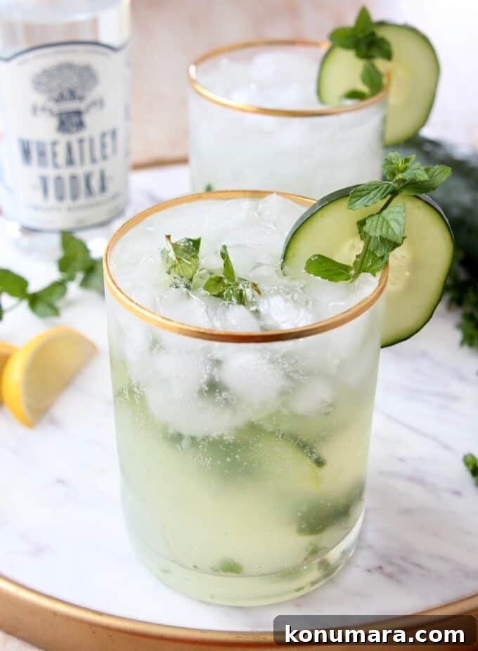 Cocktails in gold rimmed glasses garnished with cucumber slice and mint sprigs