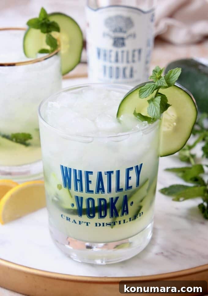 Cocktail in glass with cucumber slice and mint sprig on the rim