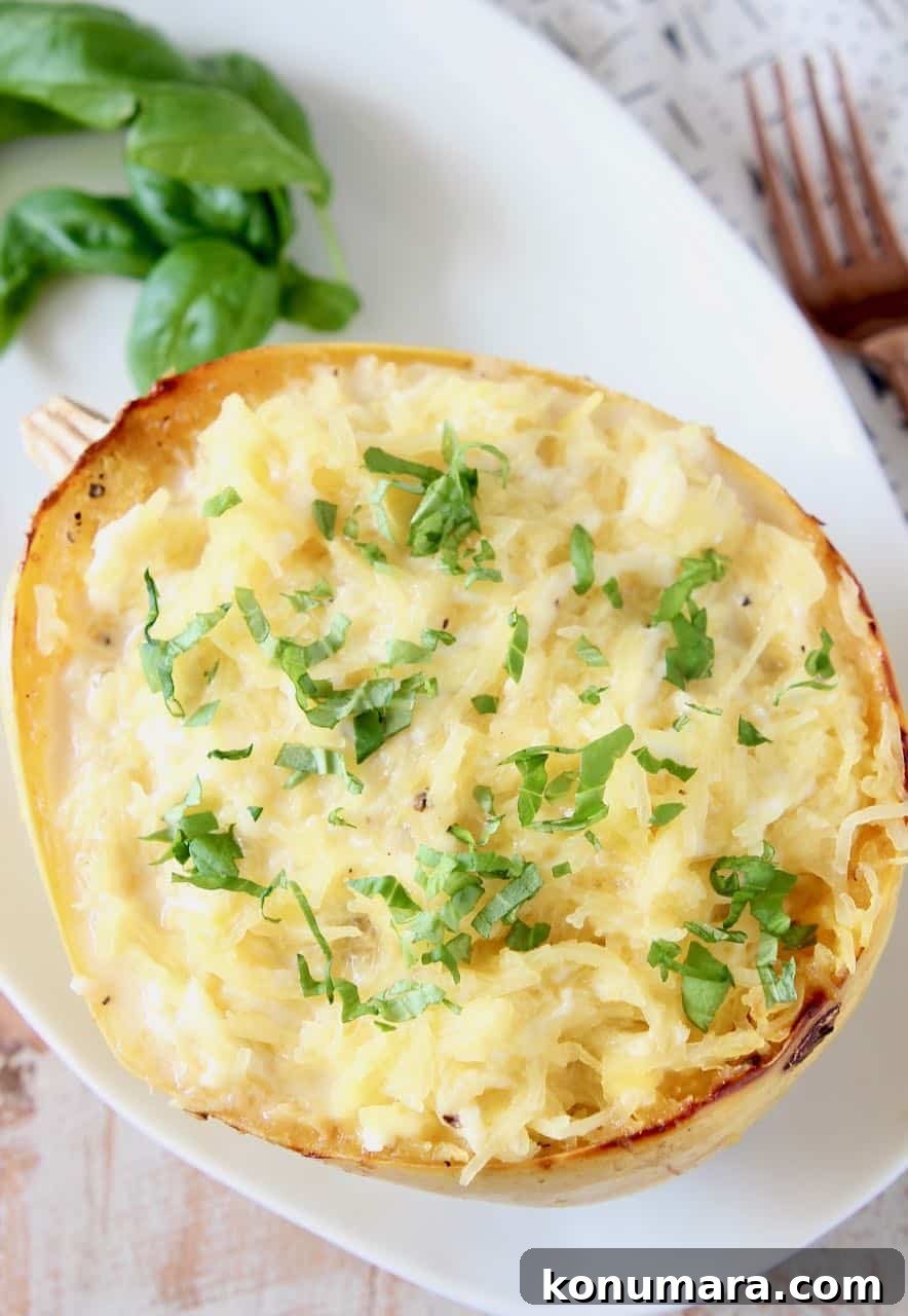 Baked Spaghetti Squash Mac and Cheese 3 Roasted spaghetti squash tossed with white cheese sauce in the squash shell