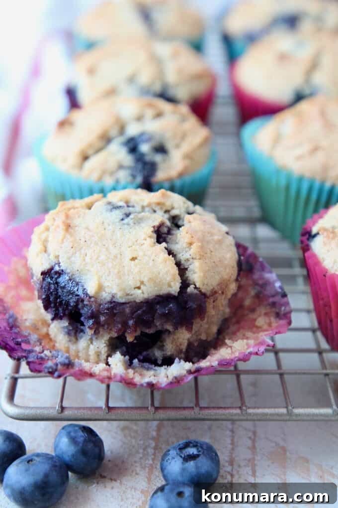 Low-Carb Almond Flour Blueberry Muffins Recipe 2 Blueberry muffin in paper liner on wire rack