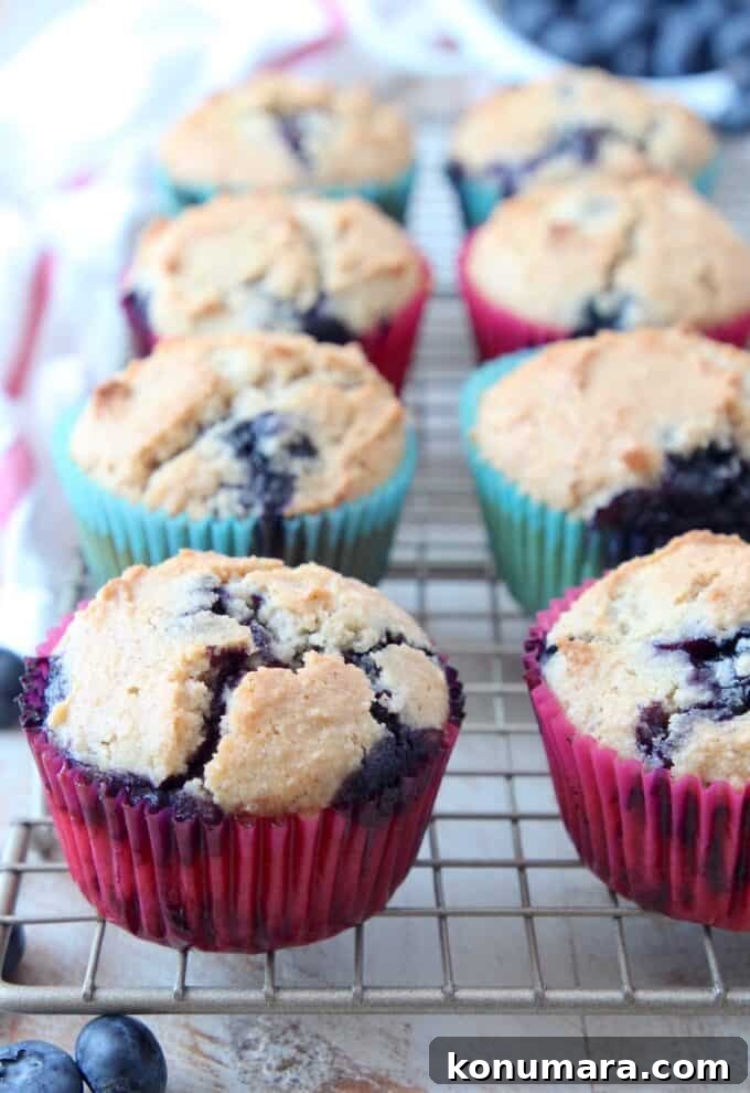 Low-Carb Almond Flour Blueberry Muffins Recipe 6 Blueberry muffins on wire rack
