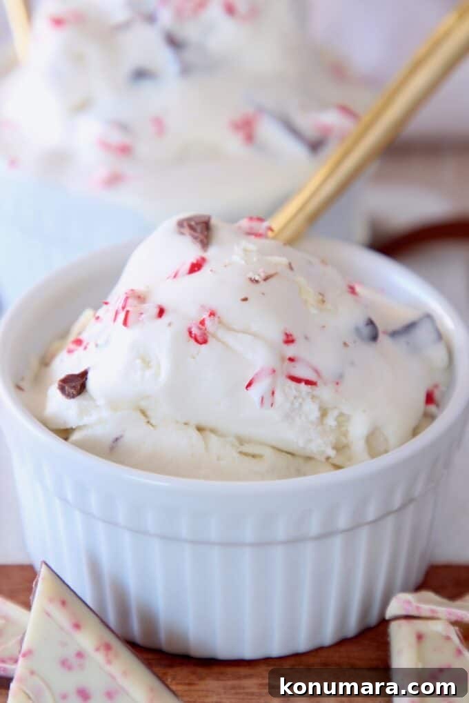 Homemade No-Churn Peppermint Bark Ice Cream 3 ice cream scoop in small white bowl with gold spoon