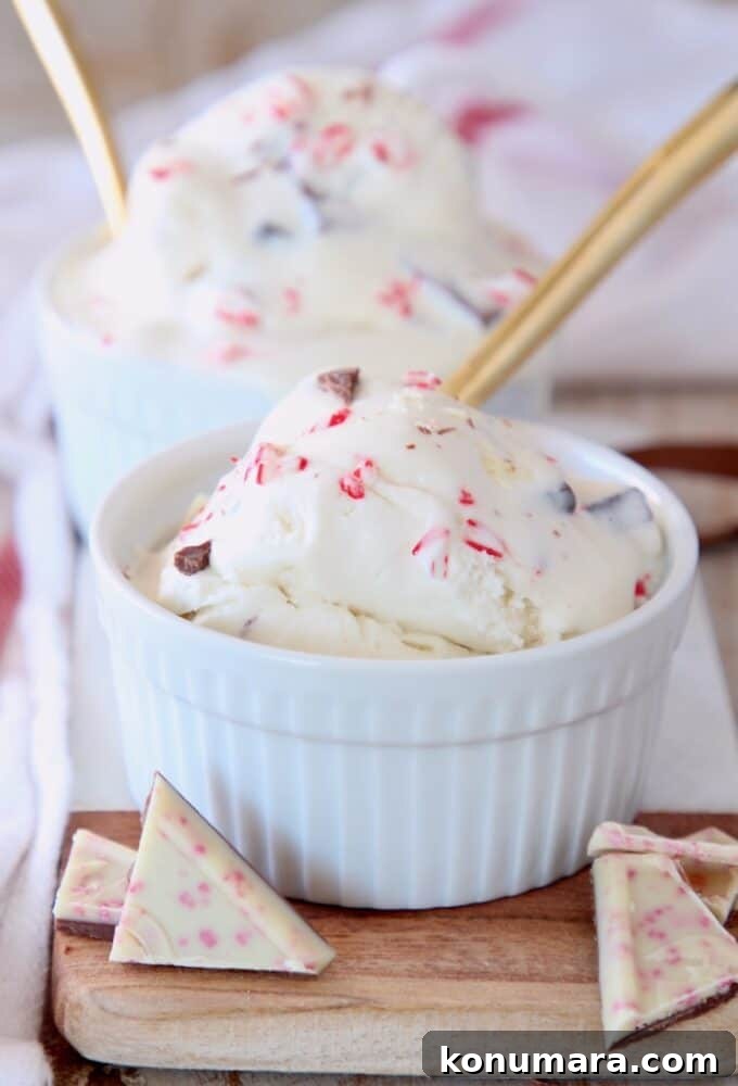Homemade No-Churn Peppermint Bark Ice Cream 7 scoop of ice cream in white bowl with gold spoon