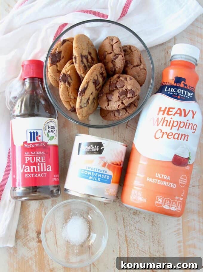 ingredients for milk and cookies ice cream