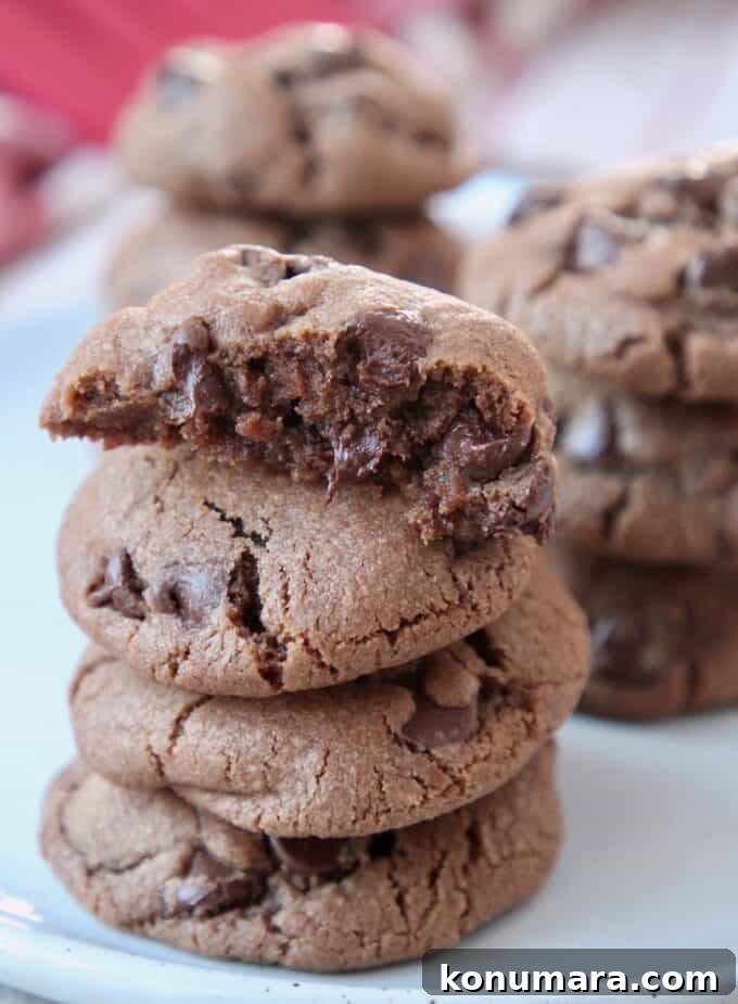 Double Chocolate Chip Cookies with Fudgy Centers 2 double chocolate chip cookies stacked up on plate
