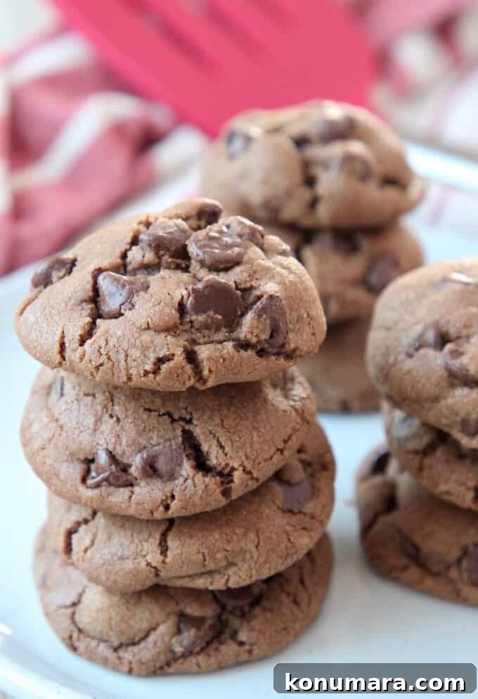 Double Chocolate Chip Cookies with Fudgy Centers 5 cookies stacked up on plate