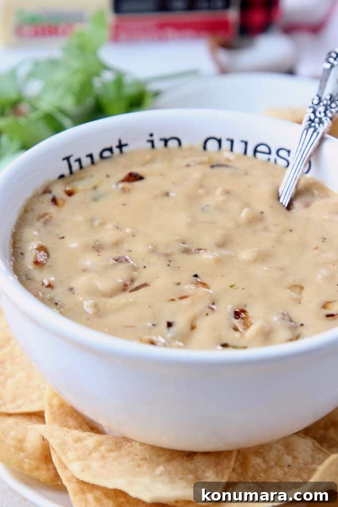 20 Must-Try Recipes from 2020 10 French onion dip in bowl with spoon, surrounded by tortilla chips