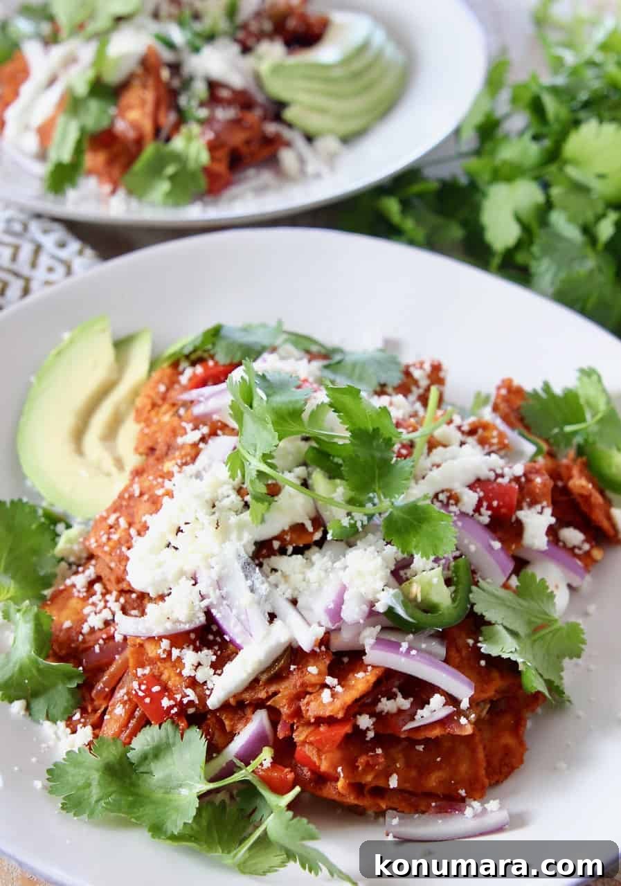 Red Chilaquiles Recipe: Classic Mexican Breakfast 2 chilaquiles on plate topped with cilantro and red onion