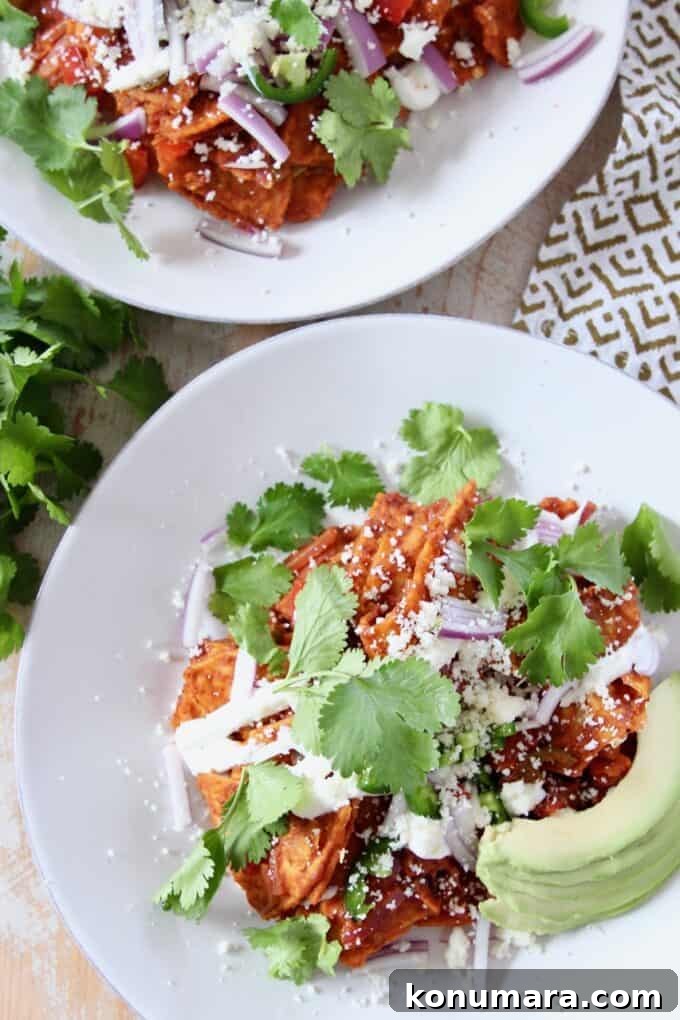 Red Chilaquiles Recipe: Classic Mexican Breakfast 6 chilaquiles on white plate, topped with cilantro and avocado