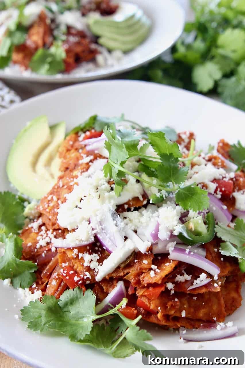 Red Chilaquiles Recipe: Classic Mexican Breakfast 7 chilaquiles on plate topped with fresh cilantro and red onion