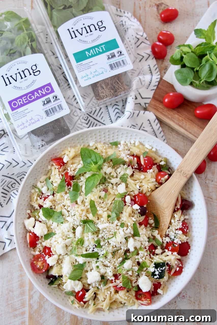 greek orzo salad in bowl with wooden spoon with herbs and grape tomatoes on the side
