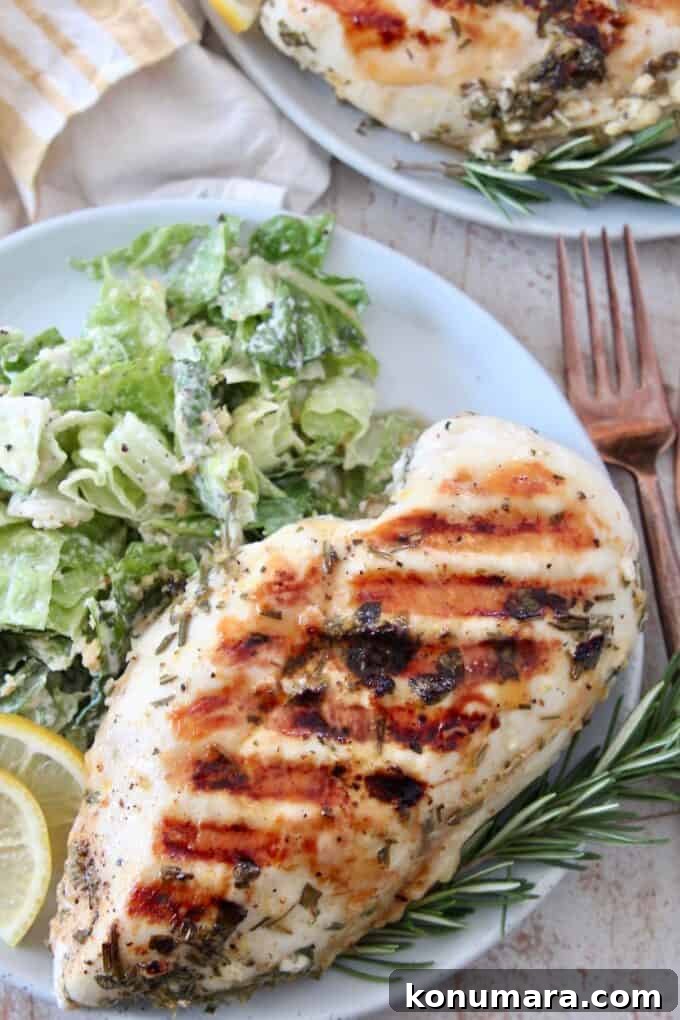 overhead image of grilled chicken breast on plate with salad