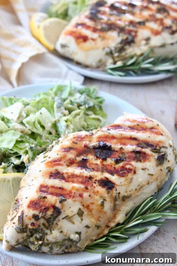 Grilled chicken breast on plate with salad