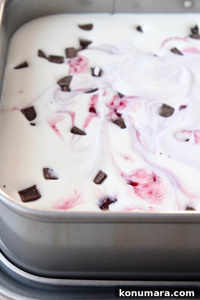 No-Churn Cherry Garcia Ice Cream Recipe 9 cherry garcia ice cream in metal container