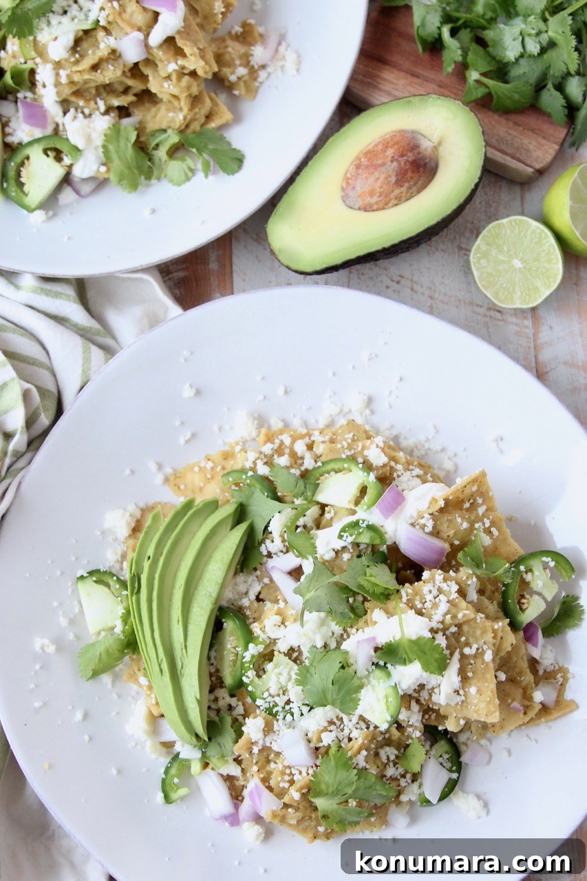 chilaquiles on plate topped with cilantro and avocado