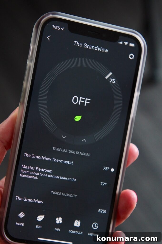 hand holding iphone with nest app showing on the phone