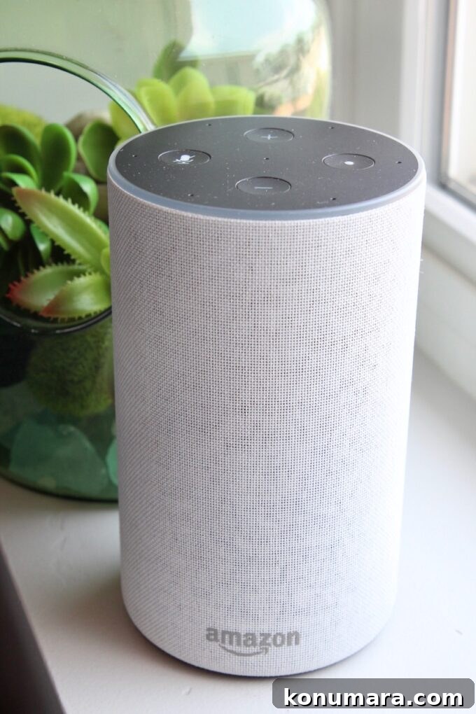 amazon alexa echo sitting on windowsill