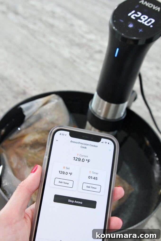 phone displaying app for sous vide in front of sous vide attached to pot