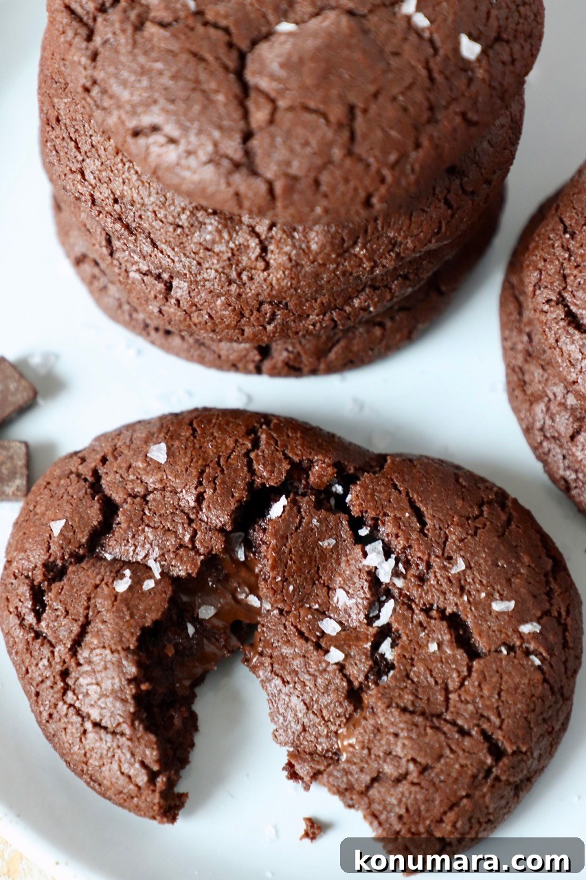 chocolate cookies on white plate