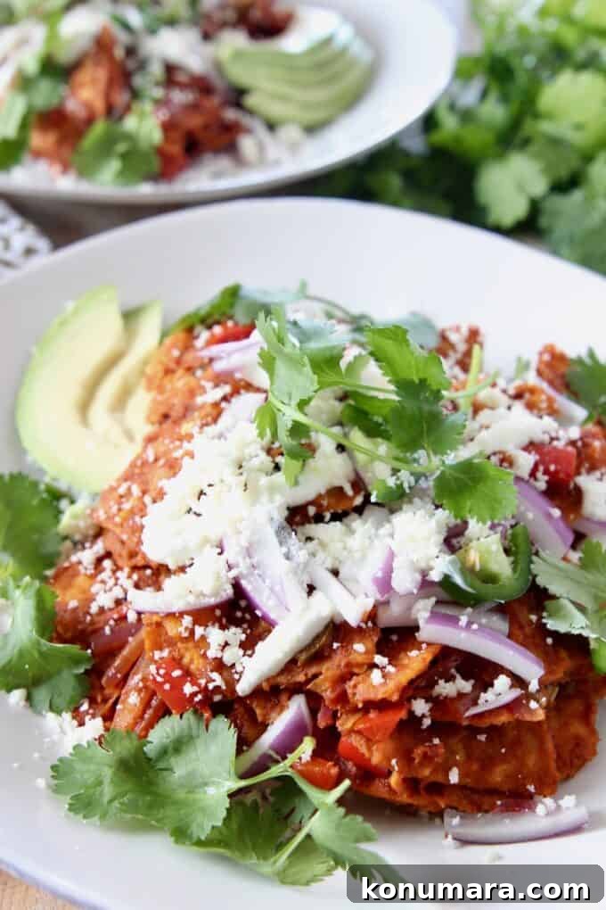 chilaquiles on plate topped with fresh cilantro and red onion