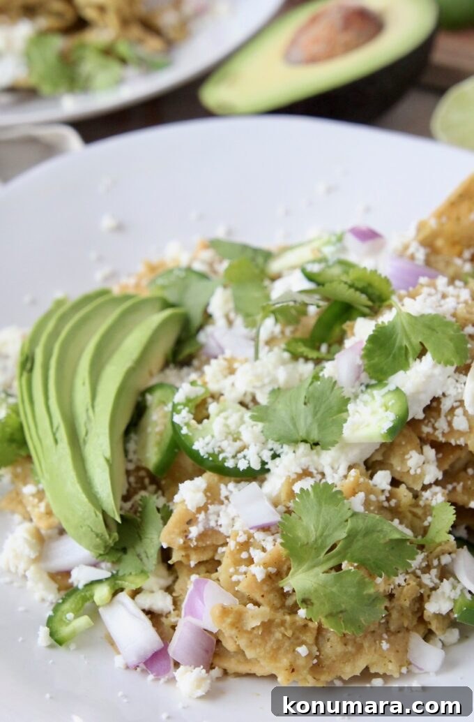 chilaquiles on plate with cilantro, onion and avocado