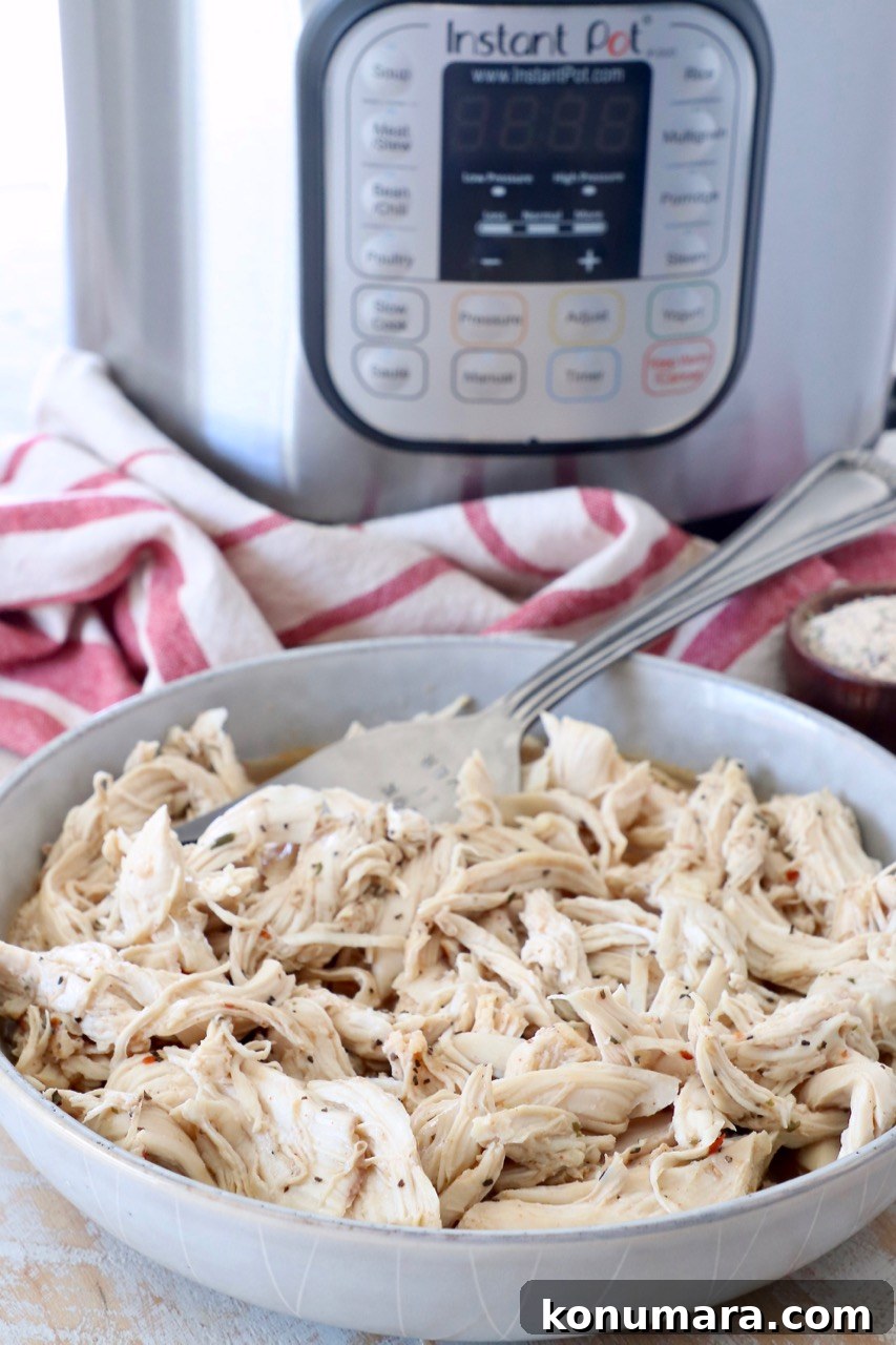 Instant Pot Shredded Chicken Recipe: Juicy and Tender 2 shredded chicken in bowl, sitting in front of an Instant Pot